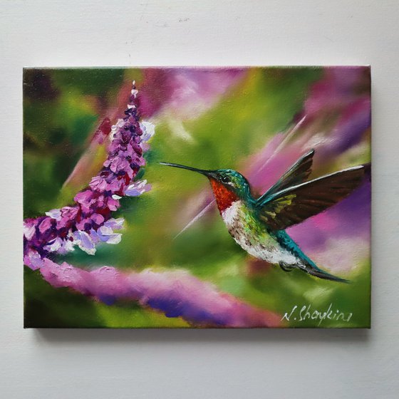 Ruby Throated Hummingbird, Bird and Purple flowers