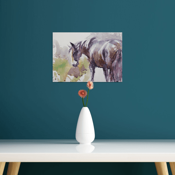 a horse in a meadow