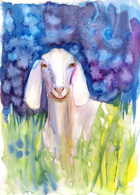 The White Goat