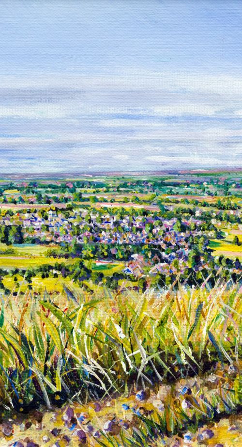 MEGGIES VIEW II by Diana Aungier-Rose