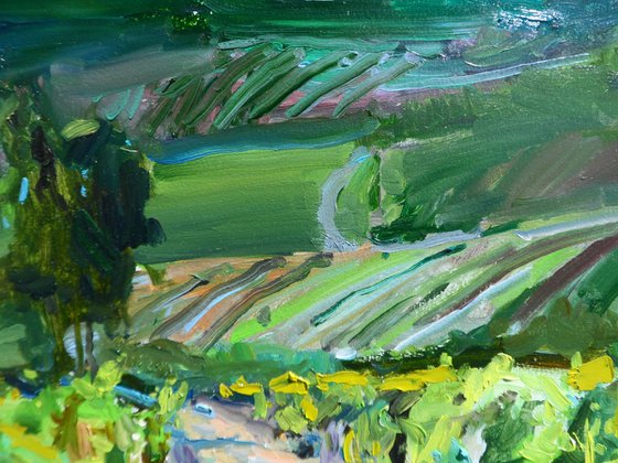 "  Vineyards "