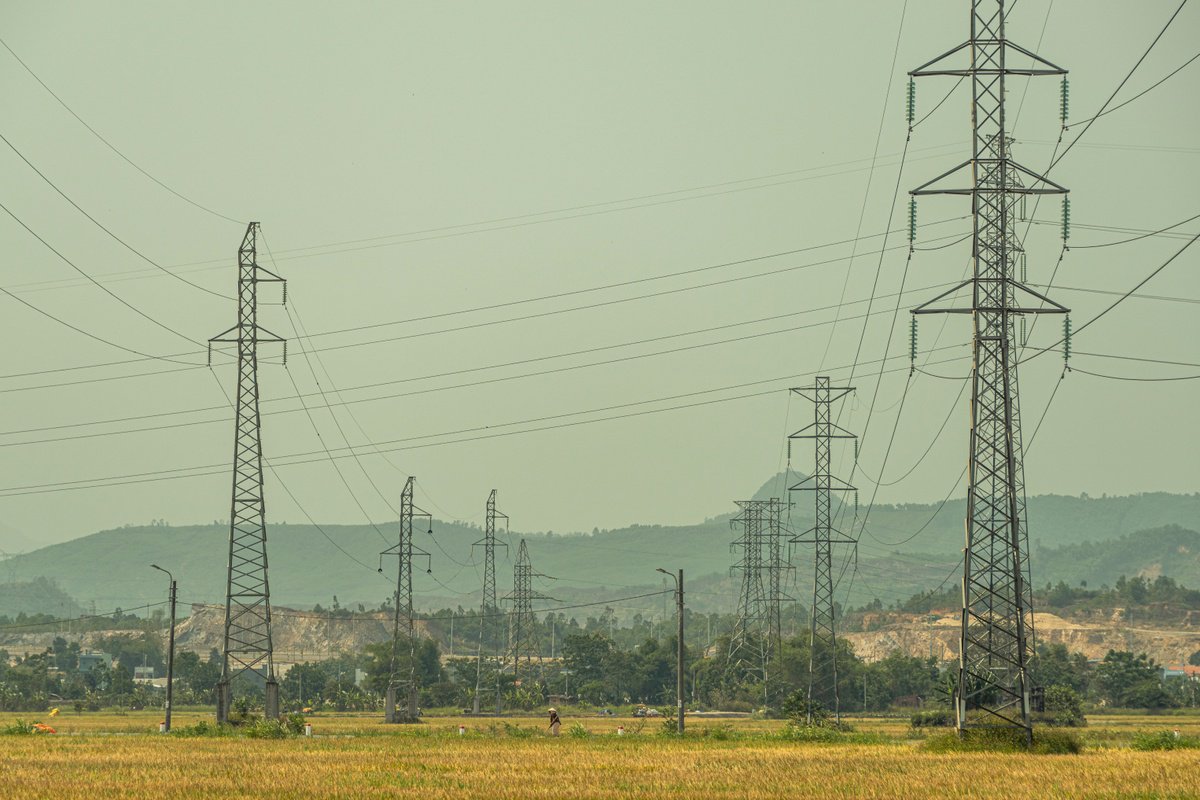 Pylons and Paddy Fields by Serge Horta