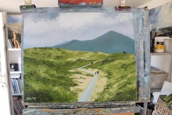 Murlough Boardwalk