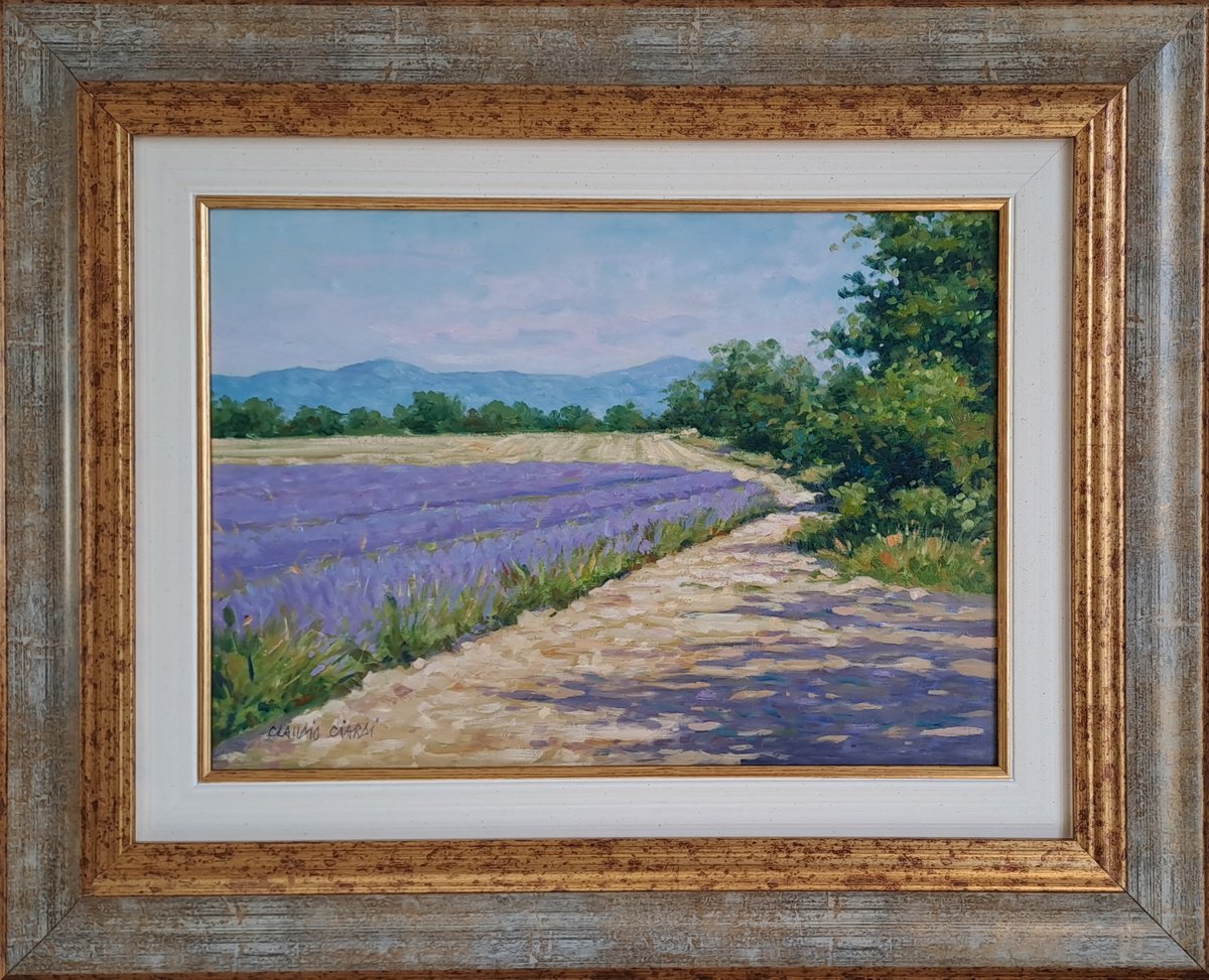 Impressionistic Botanical Oil Painting By Claudio Ciardi, 19 X 15, Lavander Fields In Provence, Original Artwork