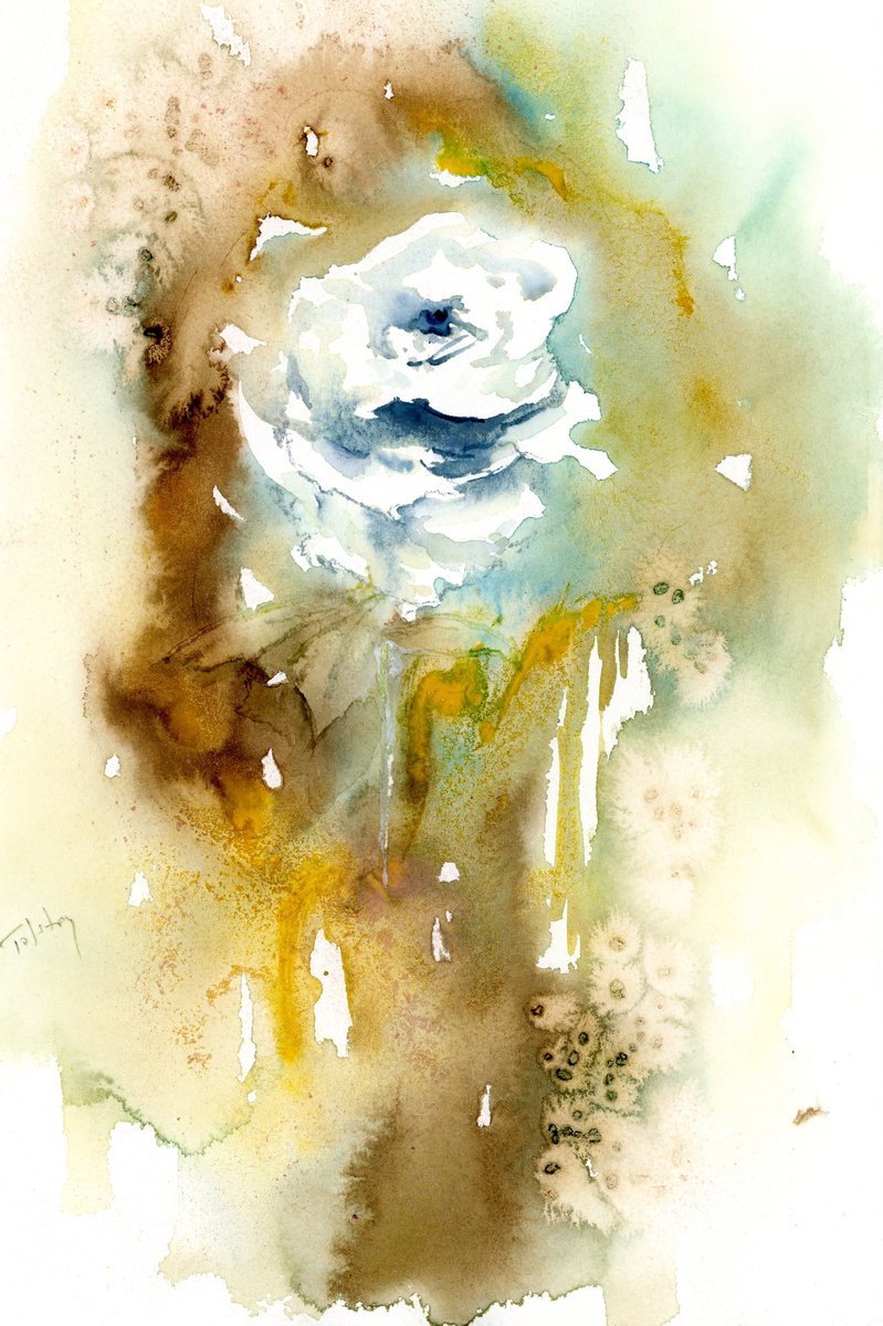 Impressionistic Botanical Watercolour By Alex Tolstoy, 9 X 14, White Rose, Original Artwork
