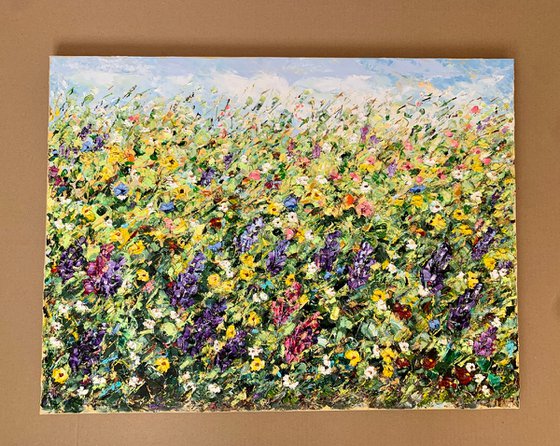 Field of blooming lupines