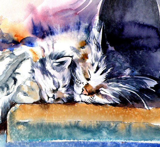 Sleeping cats