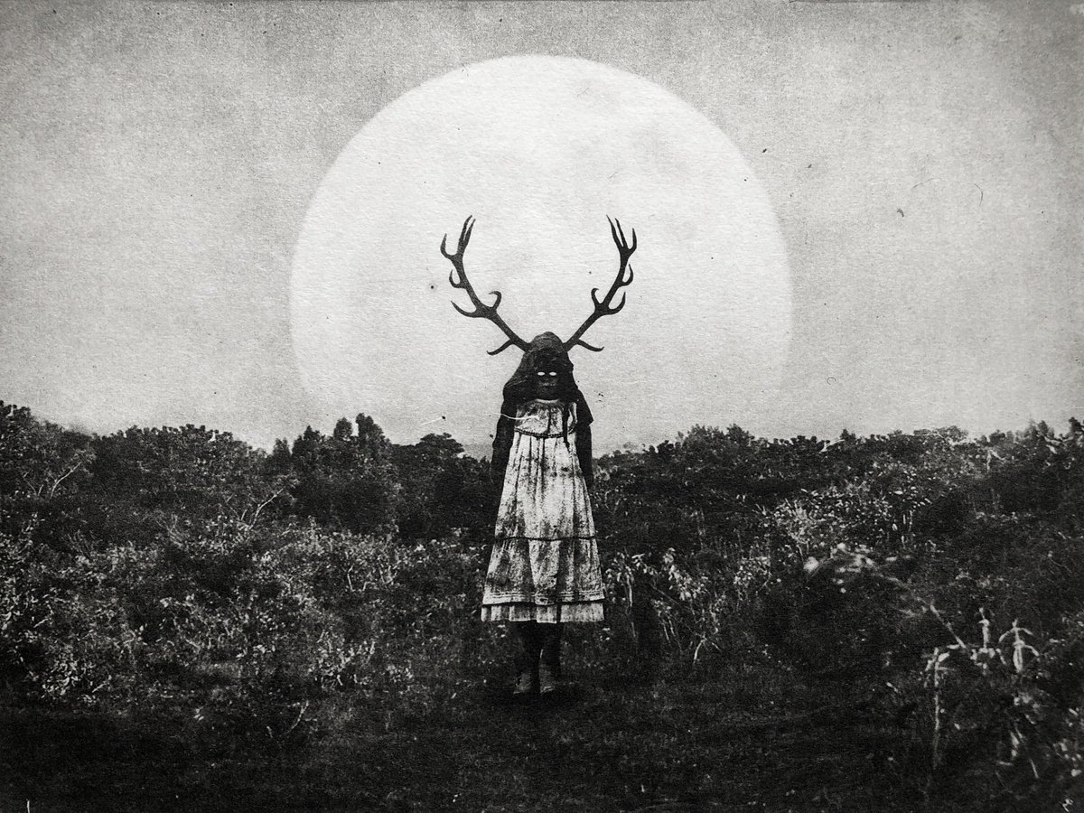 Portrait Etchings & Engravings By Jaco Putker, 13 X 10, Exterior No.55: Selene Rising, Original Artwork