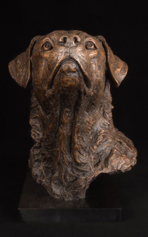 Labrador Portrait 2 FB by Tanya Russell