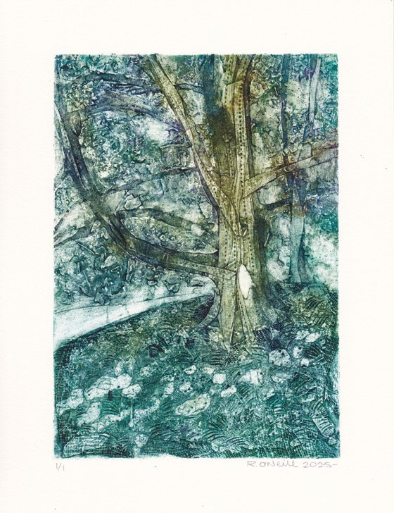 Dappled light
