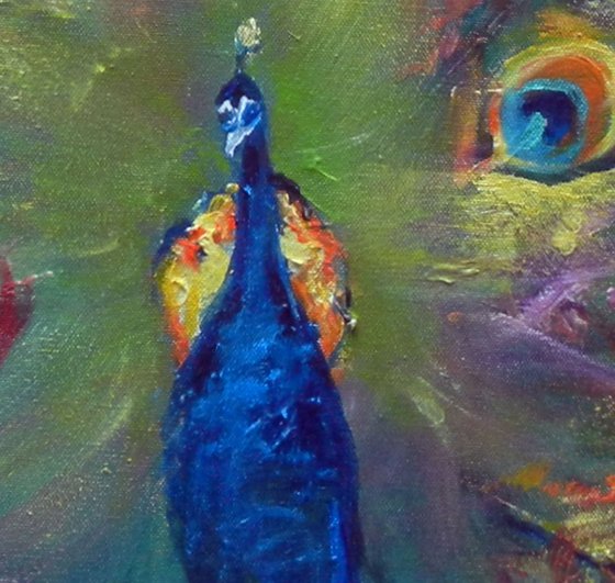 Peacock