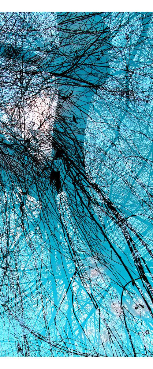 Wire Willows by Chris Keegan