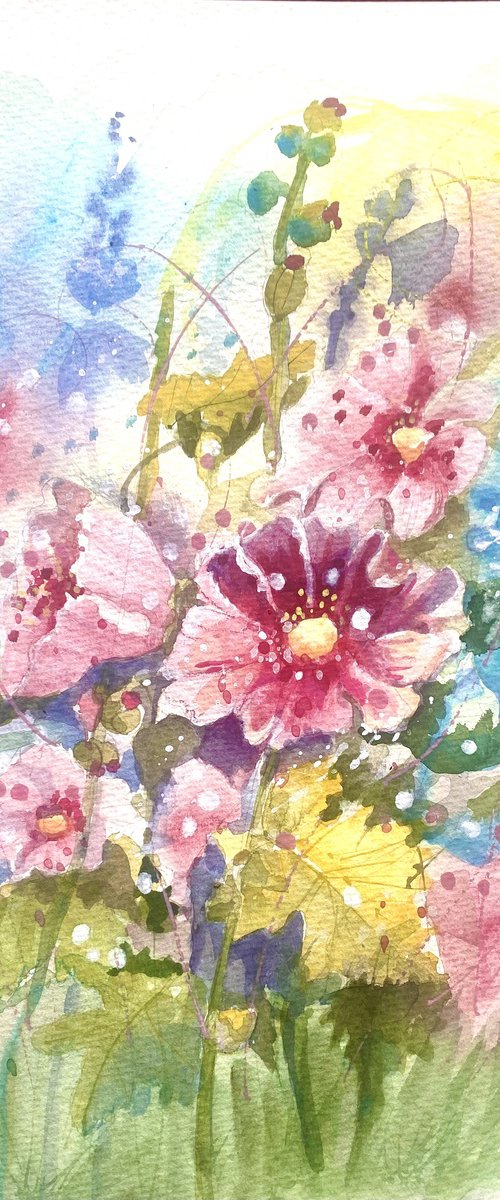 Mallows (Malva) by Alexandra Krasuska