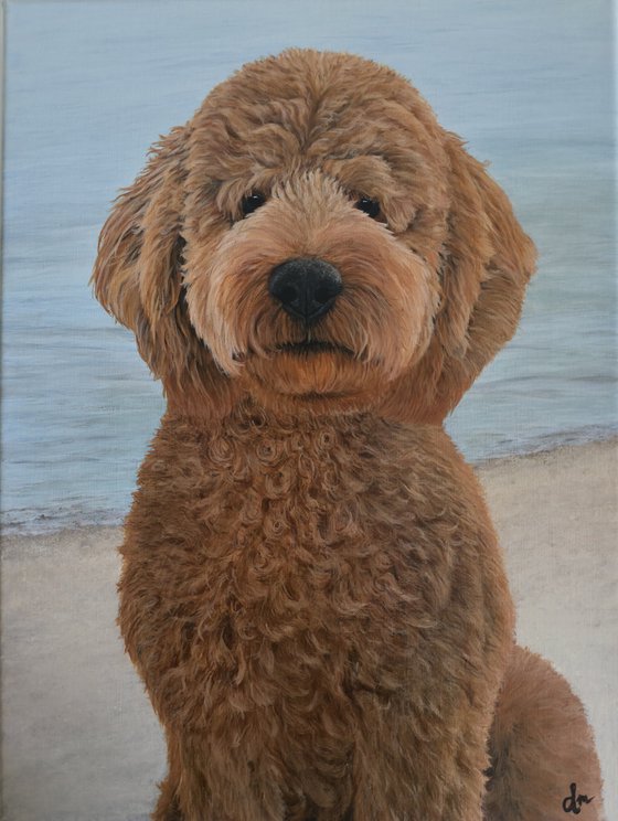 Commision pet portrait