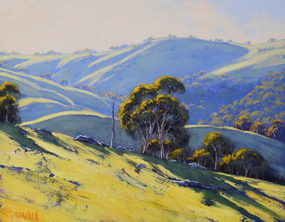 Afternoon light Hilly Landscape