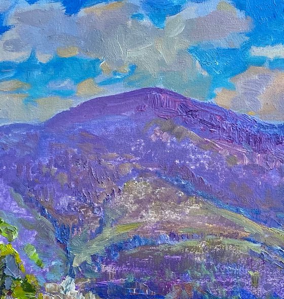 In the rhythm of mountains