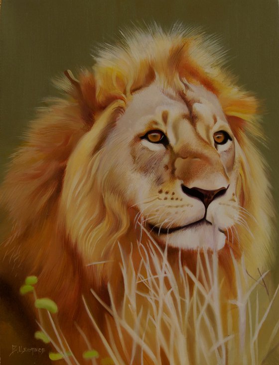 Commission, Lion, Oil on canvas