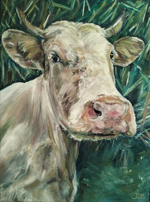 Cow's Portrait by Jura Kuba Art