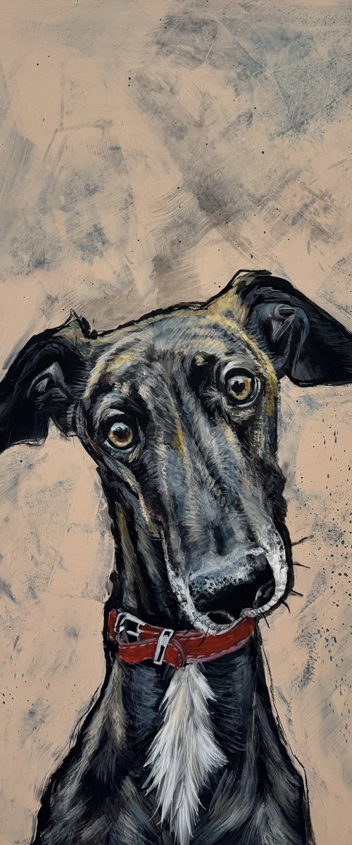Diesel the Greyhound by Victoria Coleman