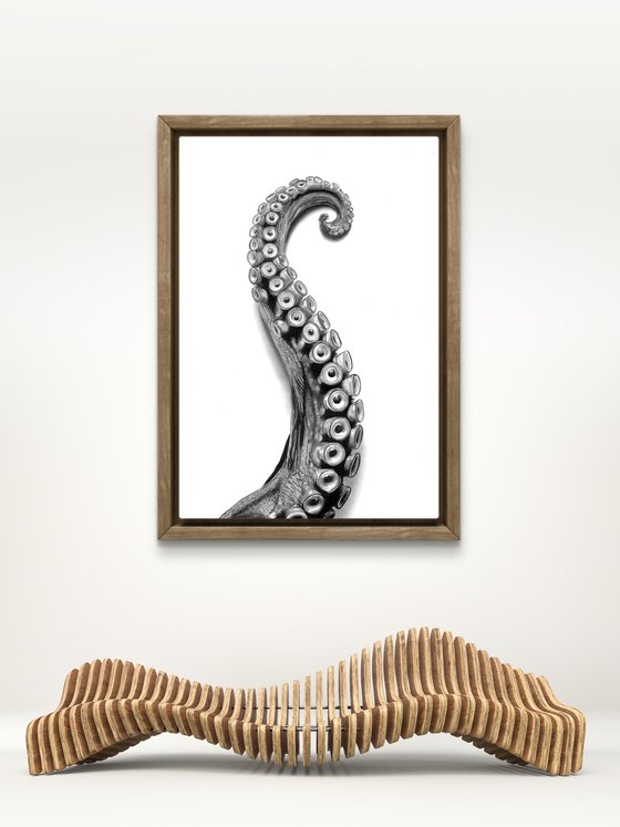 Octopus Arm