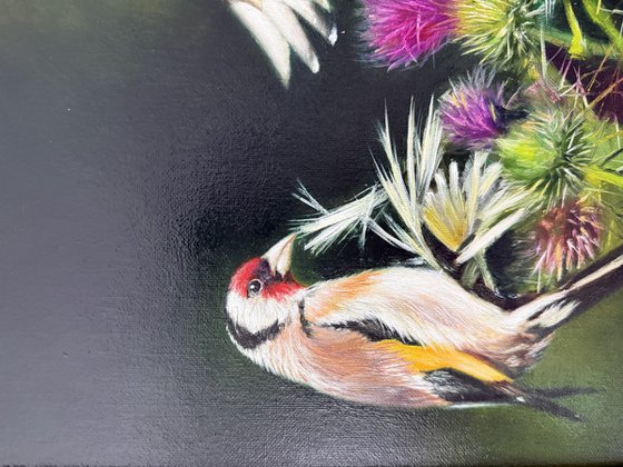 Birds and Thistle