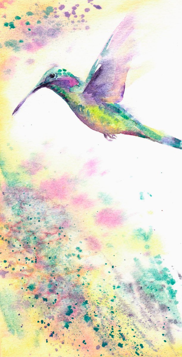 Hummingbird, Original watercolour painting by Anjana Cawdell
