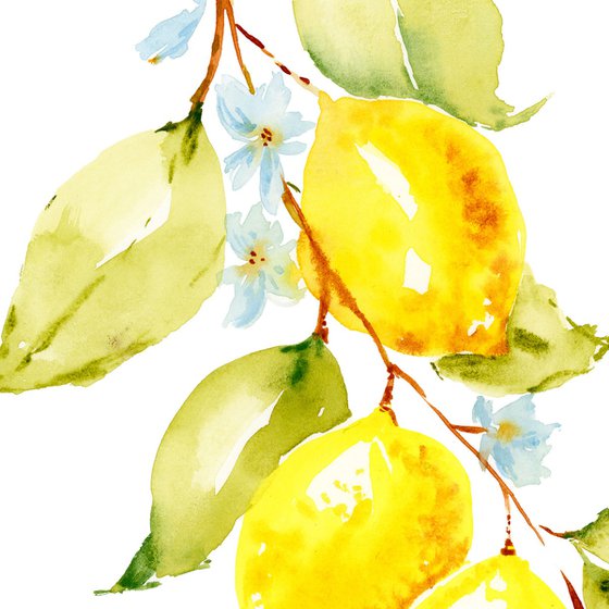 Lemon branch watercolor