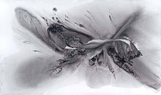 Nature 579 — Abstract Windswept Feather