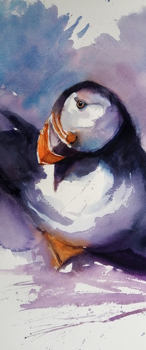 puffin by Giorgio Gosti