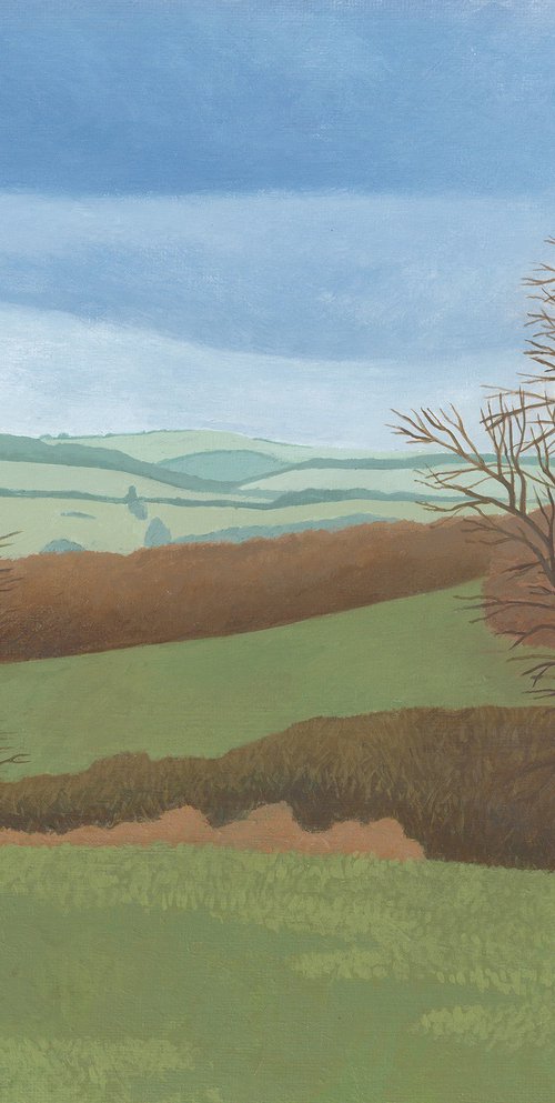 Fields In Winter by Kieran Naish