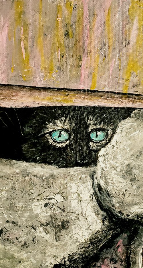 Cat Under Shed by Robbie Potter