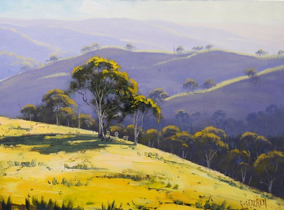 Afternoon light Lithgow