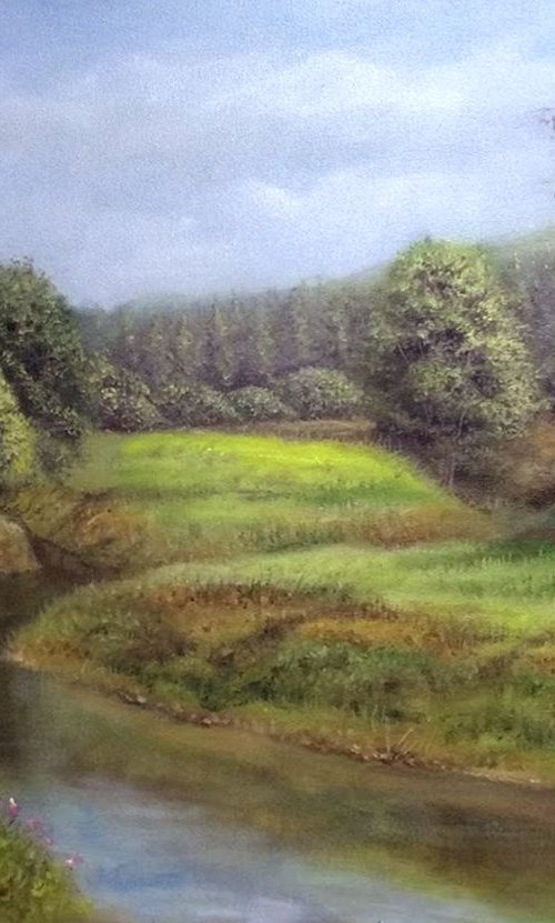 Meadows by Vishalandra Dakur