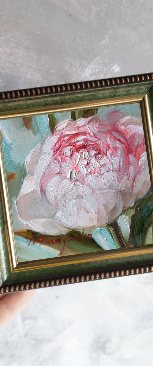 Peony by Nataly Derevyanko