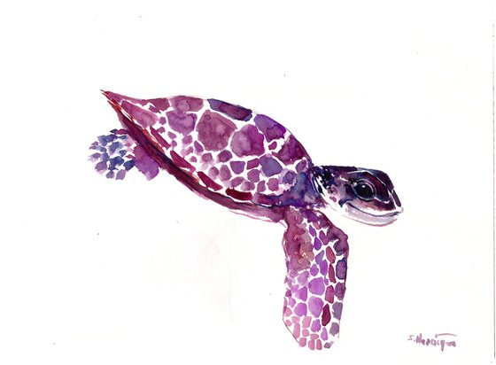 Sea Turtle