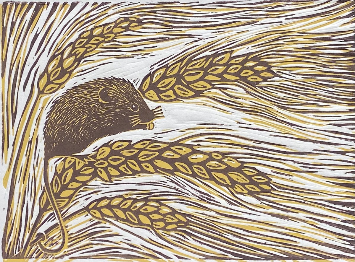 Limited edition handmade linocut. Harvest Mouse 8/95 by Jane Dignum