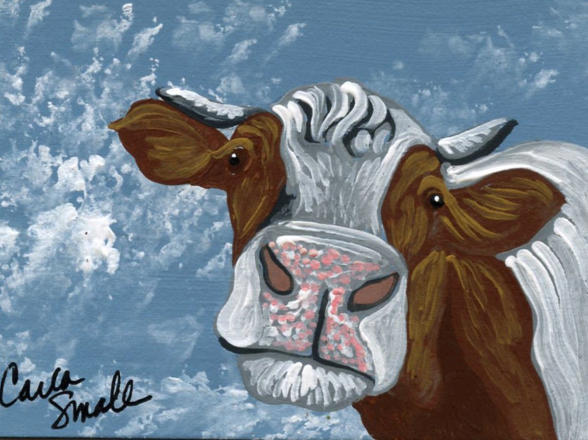 Brown White Cow by Carla Smale