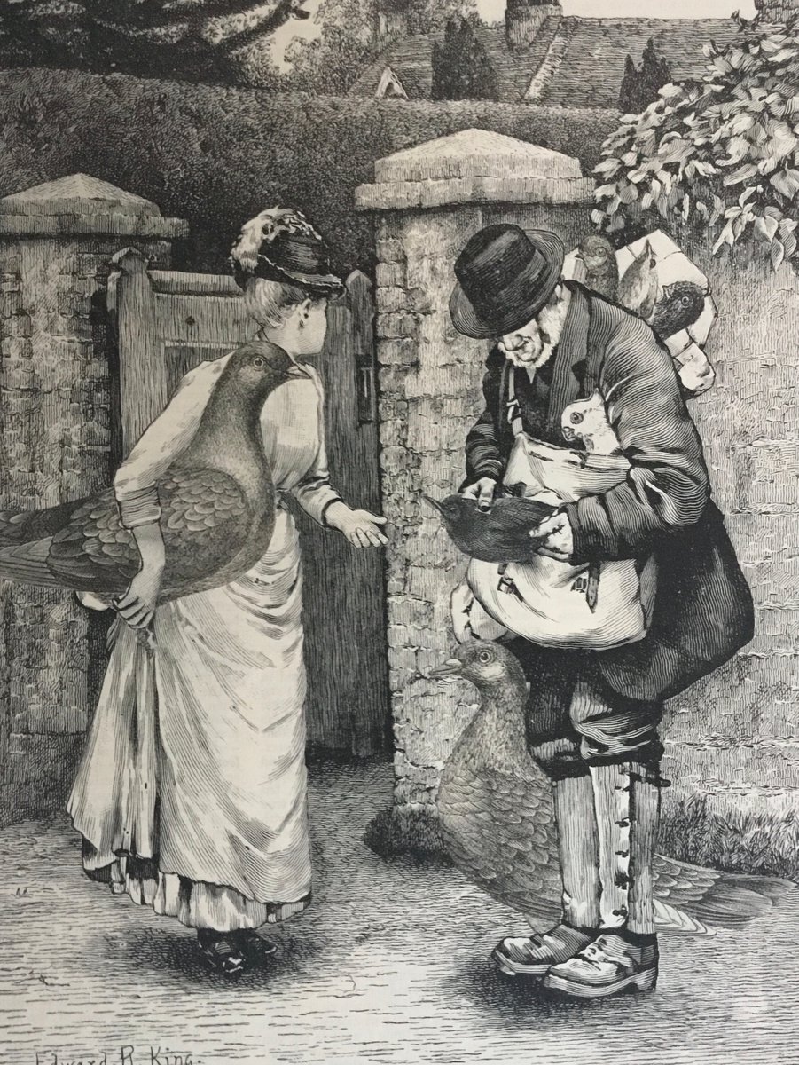 Surrealistic Collage , Pigeon Post By Tudor Evans, 6 X 8, Artwork For Sale On Artfinder