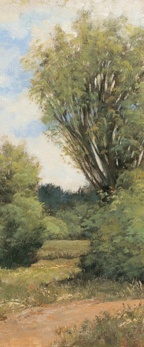 Country Path 230701 by Don Bishop
