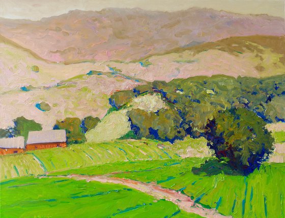Californian Moutains. Summer Morning
