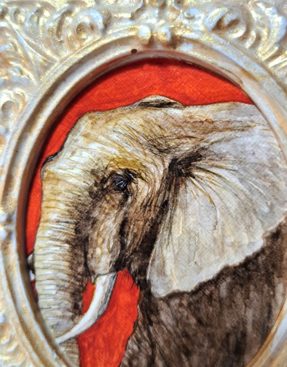 african elephant