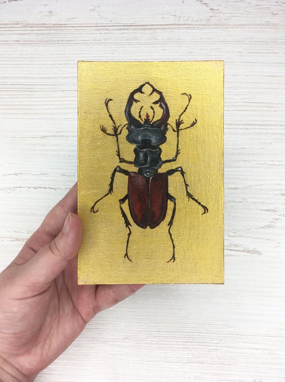 LUCANUS CERVUS - Golden collection of beetles