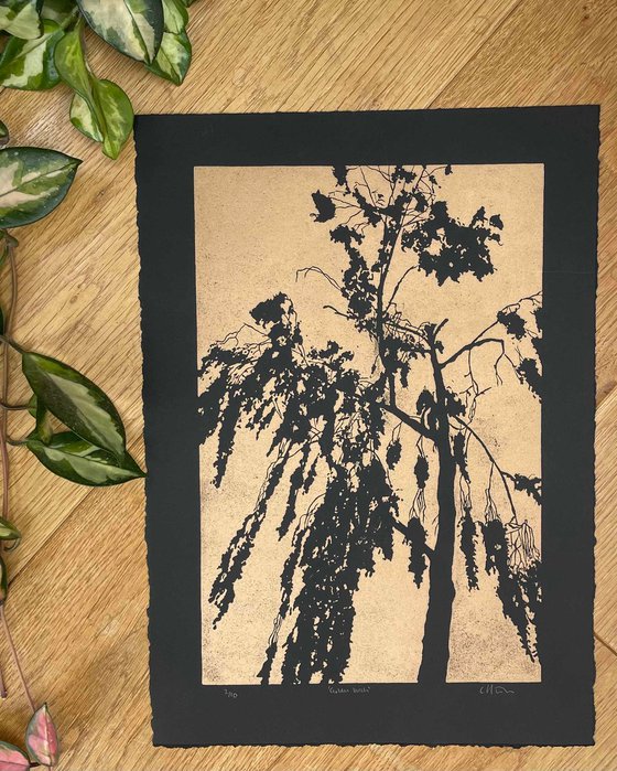 Golden Birch - Birch Linocut
