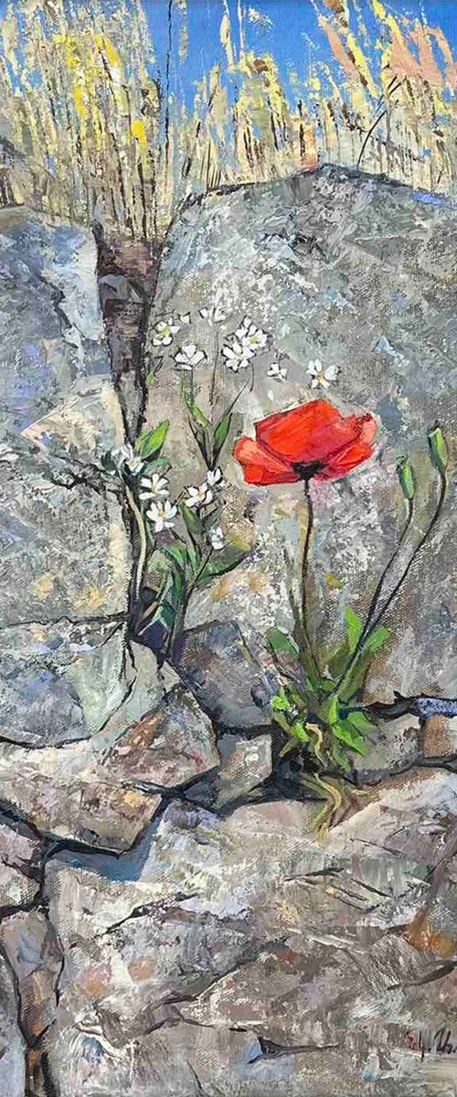 Against All Odds by Aramayis Khlghatyan