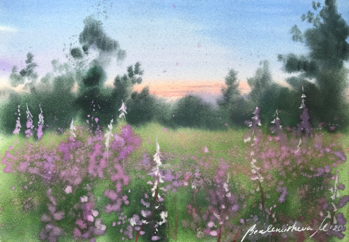 Fireweed. Landscape watercolor painting. by Maria Beklemisheva