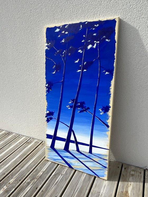 Cap Coz ultramarine 100x50