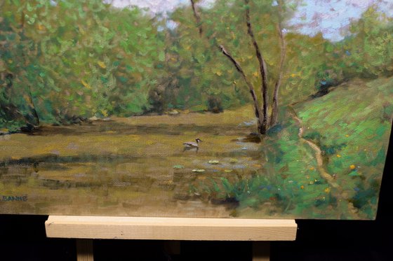 Calke Abbey England, Impressionist Duck Pond