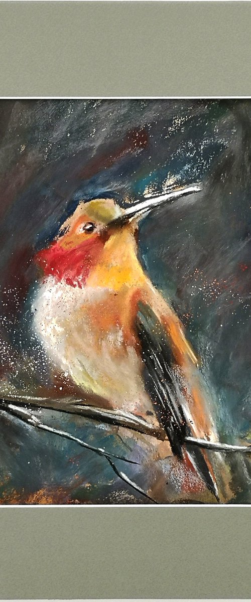 Hummingbird on the branch by Olga Tchefranov (Shefranov)