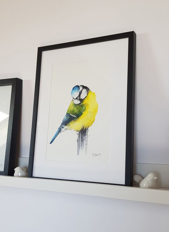 Blue Tit,  birds, wildlife watercolours