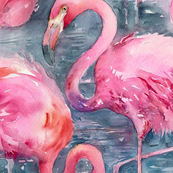 Flamingo Lagoon